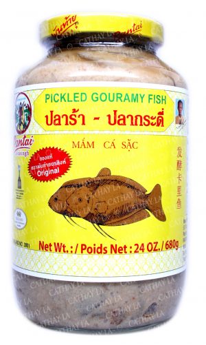 PANTAI Gouramy Fish (L)