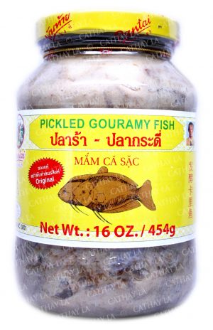 PANTAI Gouramy Fish (S)