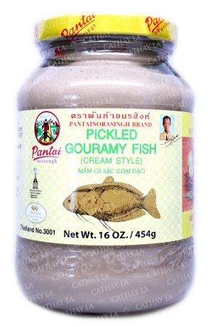 PANTAI CREAMY Gouramy Fish (S)