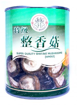 CTF Poku Mushroom (L)