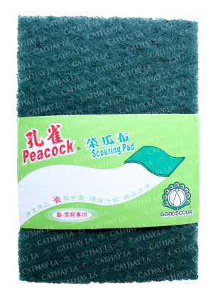 TW 610 Scouring Pad (S) 10 PC