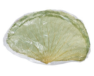 CATHAY   Lotus Leaves