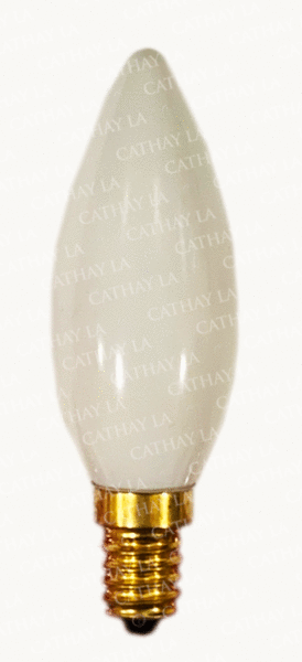 TW  (L) White Light Bulb #090069(3)