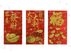 CHINA Red Envelope T2251