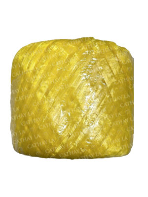 CHINA  Yellow Nylon String (XL)