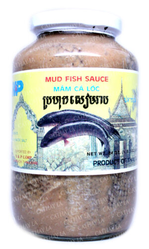 NP  Mud Fish (L)
