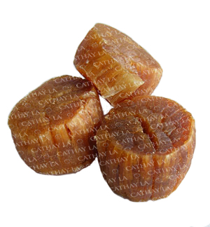 JP  Scallop M2 (X-Large)